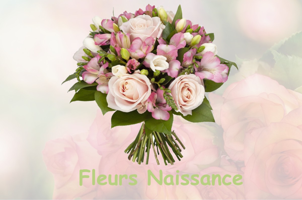 fleurs naissance SOUSSEY-SUR-BRIONNE