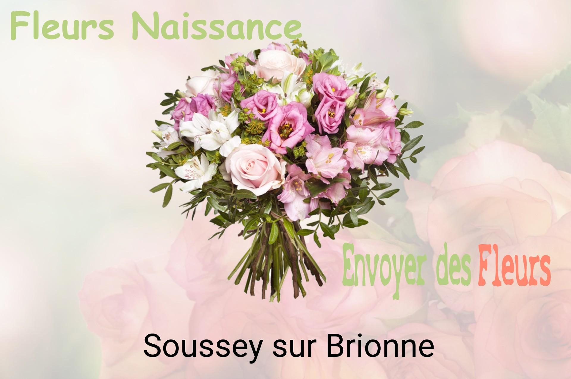 Bouquet de fleurs de naissance livré à Soussey-sur-Brionne